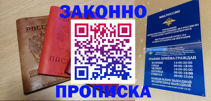 временная регистрация собственник в Тереке